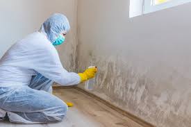 Laguna Vista, TX Mold Removal Services Company